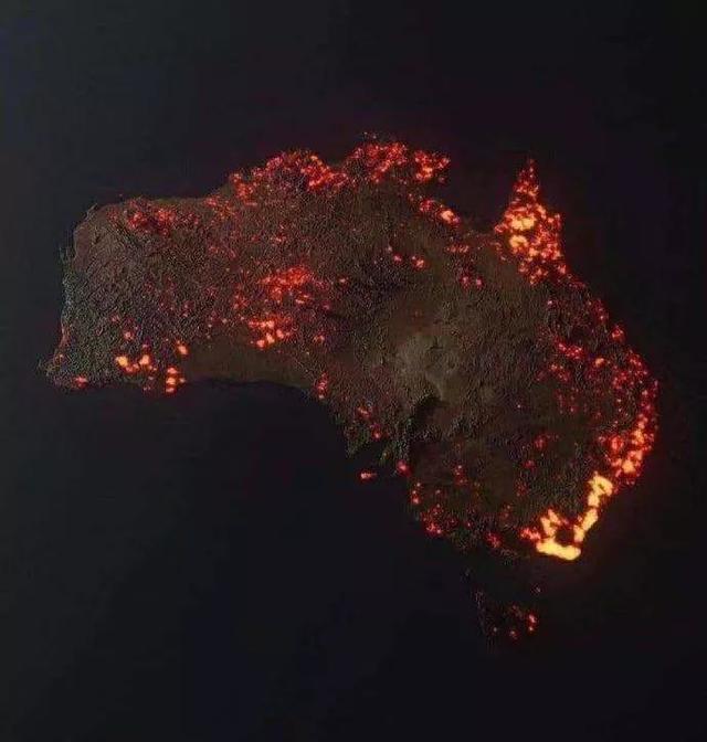 澳洲大火烧死的动物（澳洲大火烧死近5亿动物）